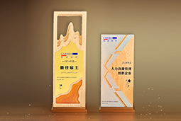 易币付 易币国际一举斩获“2024年度中国区最佳雇主”等多项大奖