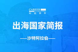 易币付 易币GO GLOBAL | 沙特阿拉伯国家简报